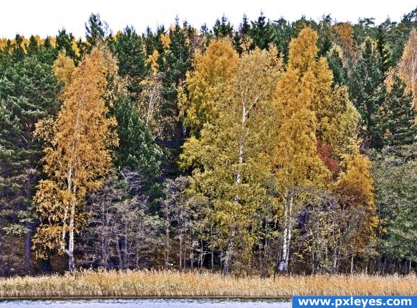 Autumn in the archipelago